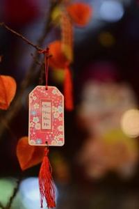 phiên bản mới Kubet